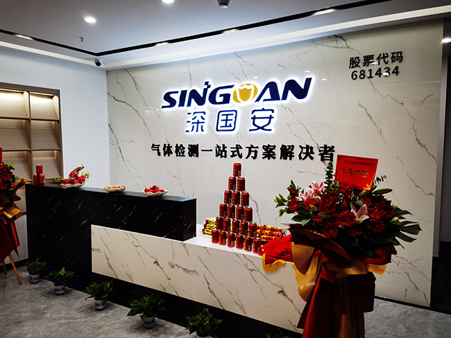 深國安氣體檢測儀生產(chǎn)廠家 深國安氣體檢測儀生產(chǎn)廠家