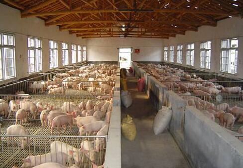 養(yǎng)殖場 養(yǎng)殖場