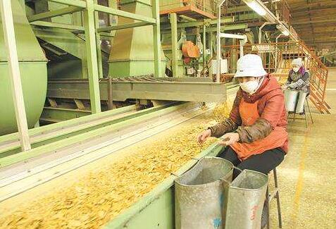 煙草行業(yè) 煙草行業(yè)