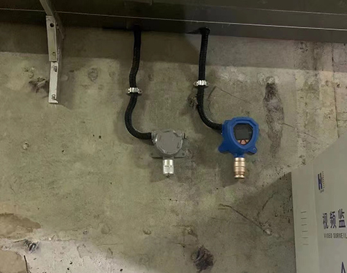 防爆型硫化氫氣體變送器 防爆型硫化氫氣體變送器