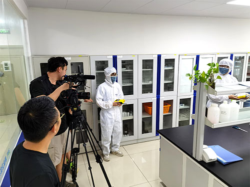 便攜式氯乙烯濃度探測(cè)儀