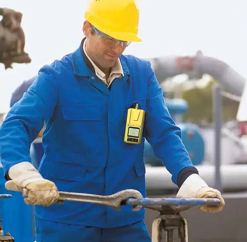 手持式多合一溴甲烷偵測器 手持式多合一溴甲烷偵測器